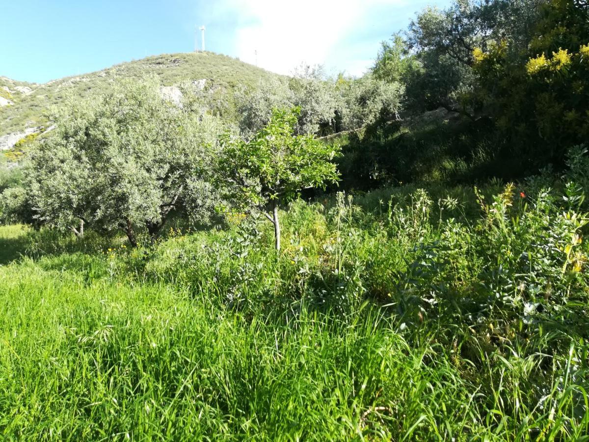 Bancal De Los Perez Carataunas Kültér fotó